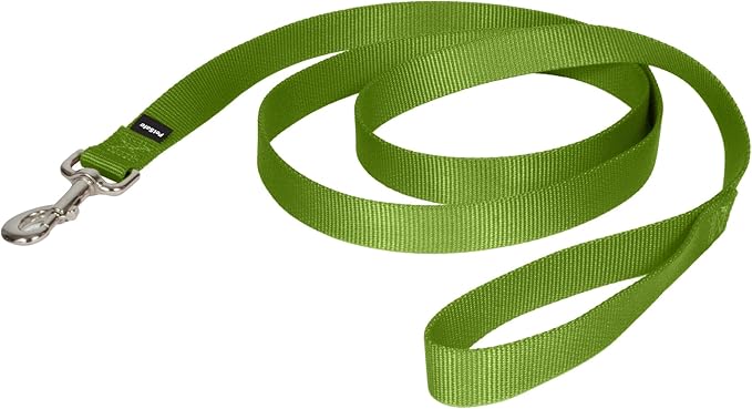 PetSafe Nylon Dog Leash - Strong, Durable, Traditional Style Leash with Easy to Use Bolt Snap - 1 in. x 6 ft., Apple Green