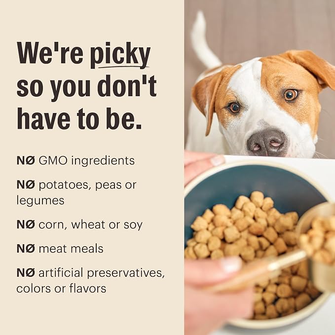 The Honest Kitchen Human Grade Dry Dog Food, Whole Food Clusters Whole Grain Dry Dog Food, Beef & Oats, 20lb Bag