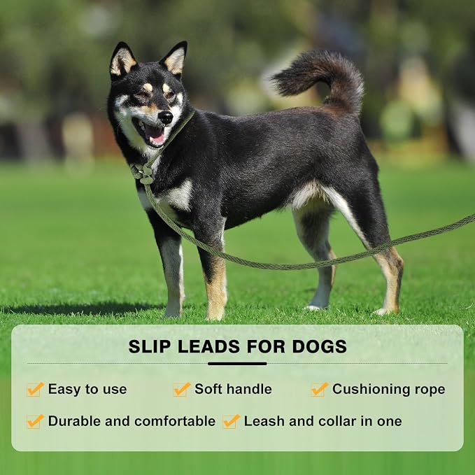 Lynxking Dog Leash Slip Lead Reflective Breathable Rope Comfortable Strong No Pull Slip On Pet Training Lead for Dogs (Dark Green, Small 3/8 inch x 6ft)