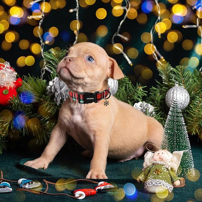 DOGWONG Christmas Plaid Dog Collar- Cute Red Christmas Checked Dog Collars Adjustable Grid Dog Collar for Small Medium Large Dogs S