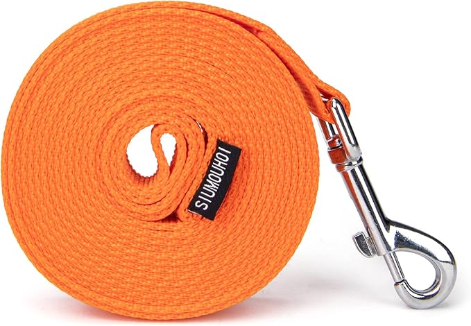 Strong Durable Nylon Dog Training Leash, 1 Inch Wide Traction Rope, 6 ft 10ft 15ft Long, for Small and Medium Dog (Orange, 10 Feet)