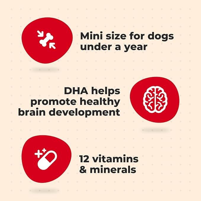 Milk-Bone Original Dog Treats for Puppies, 16 Ounce (Pack of 6), DHA Helps Support Healthy Brain Development