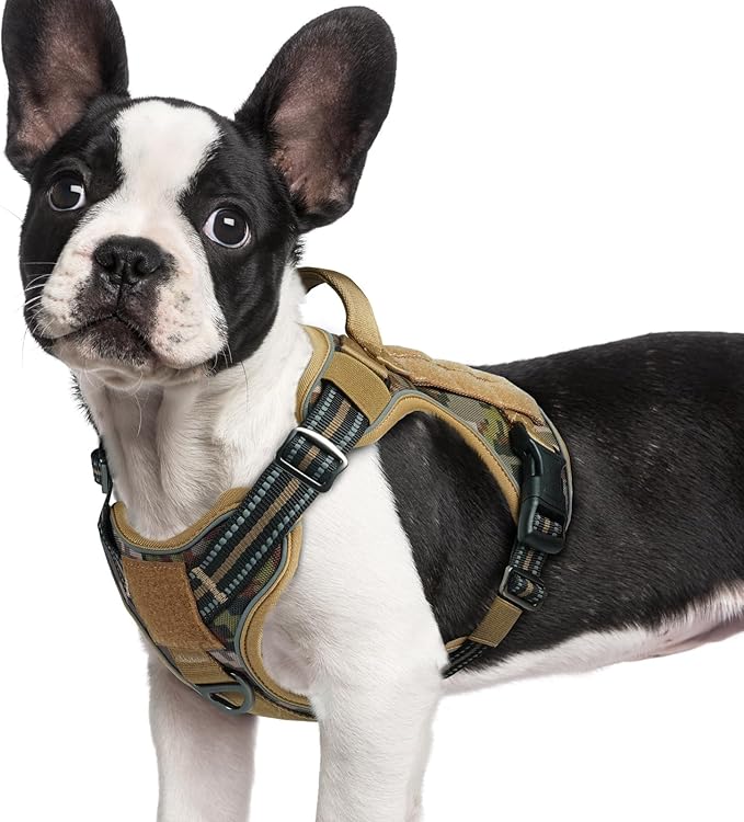 rabbitgoo Tactical Dog Harness for Small Dogs No Pull Adjustable Military Vest with Handle MOLLE Reflective Heavy Duty Dog Vest for Walking Training Hunting Outdoor Medium Size Dog Desert Camo S