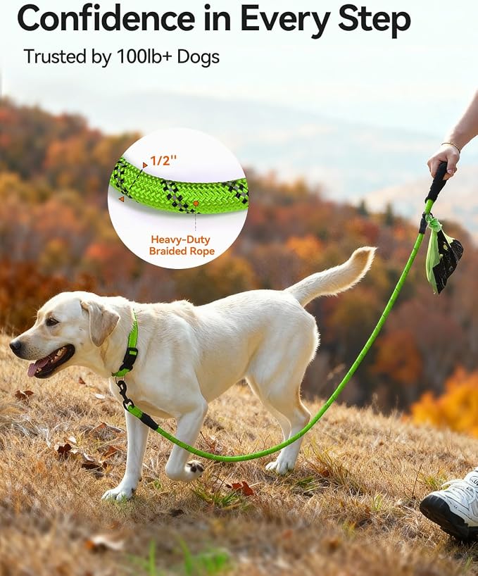 Joytale Dog Leash for Large Dogs, Heavy Duty Nylon Leashes with Comfortable Padded Handle and Highly Reflective Threads, Ideal for Walking and Training, Green, 6'×1/2''