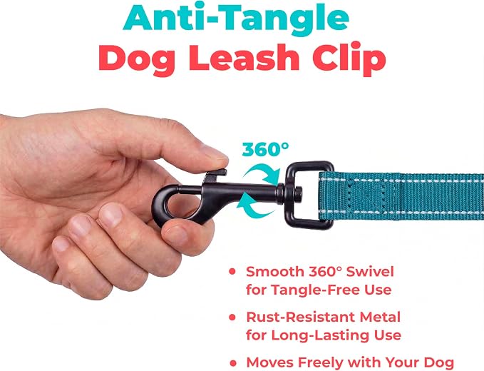 Best Pet Supplies Voyager Reflective Dog Leash or Collar with Neoprene Handle, for Small, Medium, and Large Breed Puppies, Cute and Heavy Duty for Walking, Running and Training - Turquoise (Leash), S