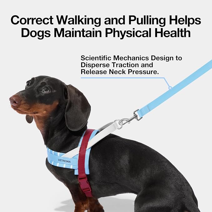 VETRESKA Dog Harness and Leash Set, Puppy Harness Adjustable, Easy Control No Choke Dog Harness for Small, Medium Dogs, Cats, Kitten, Dog Vest Harness with Anti-Tangle Leash, Misty Melo S