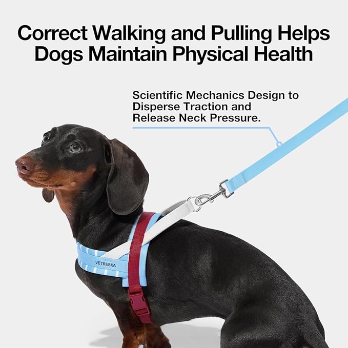 VETRESKA Dog Harness Small Sized Dog, Adjustable No Choke Puppy Harness No Pull, Easy Control Pet Harness Vest for Dogs, Cat, Kitten, Dog Harness with Anti-Tangle Dog Leash Set, Misty Melo XS