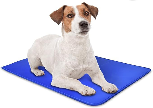 Arf Pets Dog Self Cooling Mat Pad for Kennels, Crates and Beds, Non-Toxic, Durable Solid Cooling-Gel Material. No Refrigeration or Electricity Needed, Small 16" x 20"
