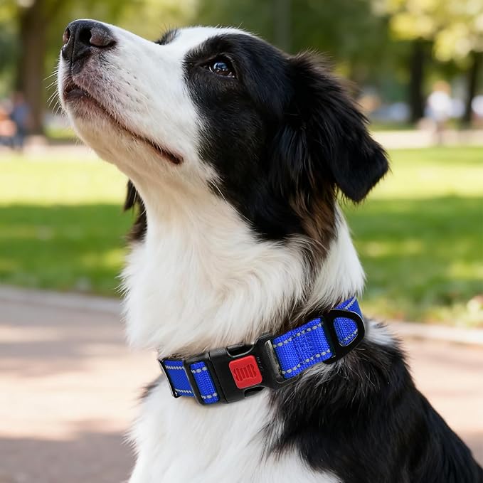 Taglory Reflective Dog Collar for Medium Dogs, Soft Neoprene Padded with Escape-Proof Locking Buckle, Upgraded Zinc Alloy Ring, Adjustable for Walking Female Male, Blue,M
