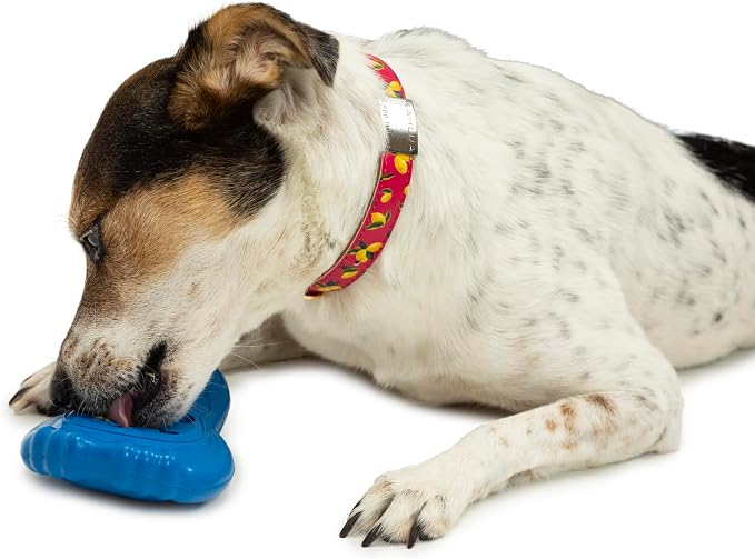 PetSafe Chilly Penguin - Freezable Dog Toy for Small Dogs - Fill and Freeze - Frozen Dog Toy to Fill with Treats - French Vanilla Scented - Interactive Pet Puzzle for Boredom or Separation Anxiety