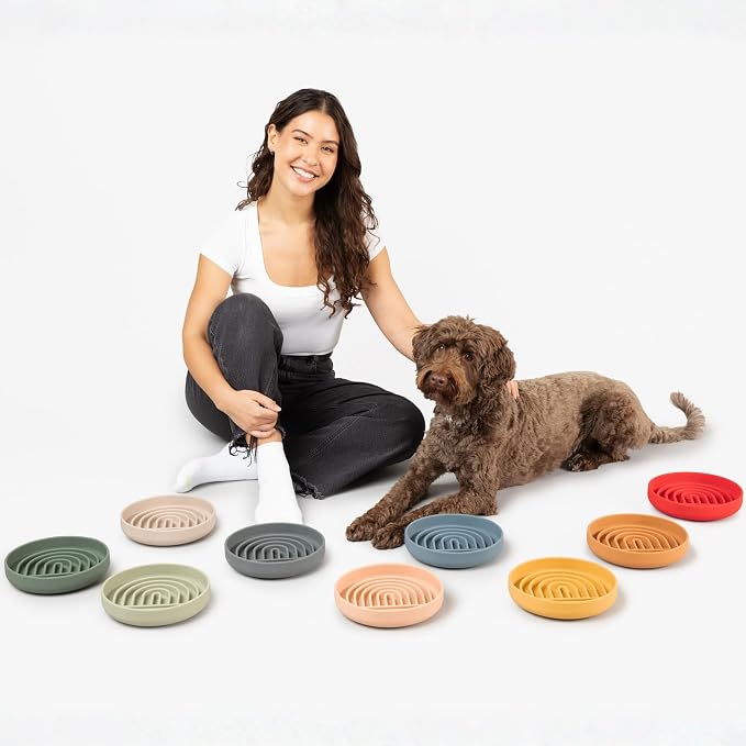Should We Go? Slow Feeder Dog Bowls - Medium Size Silicone Slow Eating Dog Bowl for Puppies & Dogs with Suction Cup -Dishwasher-Safe,Lick Mat Design,Reduces Gulping,for All Breeds,7.5”x1.5”- Charcoal