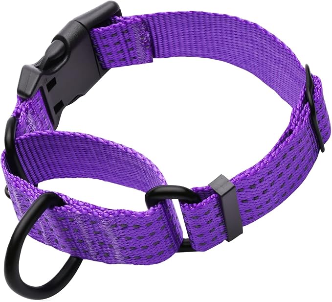 Martingale Collar for Training Dogs. Adjustable Reflective Dog Collars with Buckle- NO Pull-Prevents Slipping Out, for Medium Large XL Dogs. Helps with Strong pullers(M, Purple)
