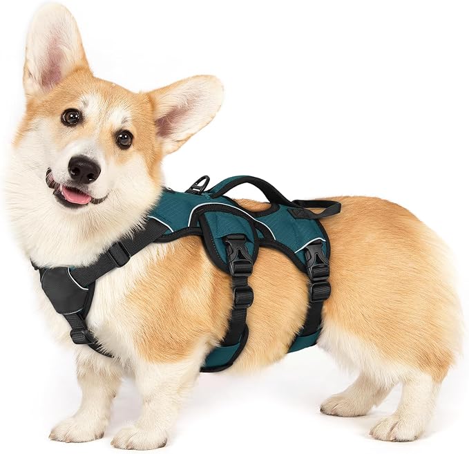 rabbitgoo Escape Proof Dog Harness Small Sized Dog, Soft Padded Full Body Pet Harness, Reflective Adjustable Vest with Lift Handle and Leash Clip for Walking Hiking Training, Dark Green, S