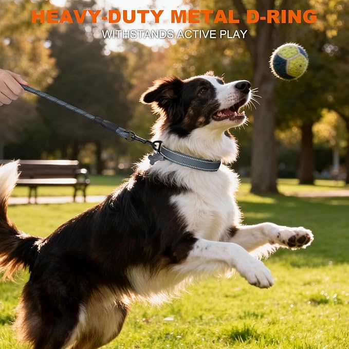 Taglory Reflective Dog Collar for Medium Dogs, Soft Neoprene Padded with Escape-Proof Locking Buckle, Upgraded Zinc Alloy Ring, Adjustable for Walking Female Male, Grey,M
