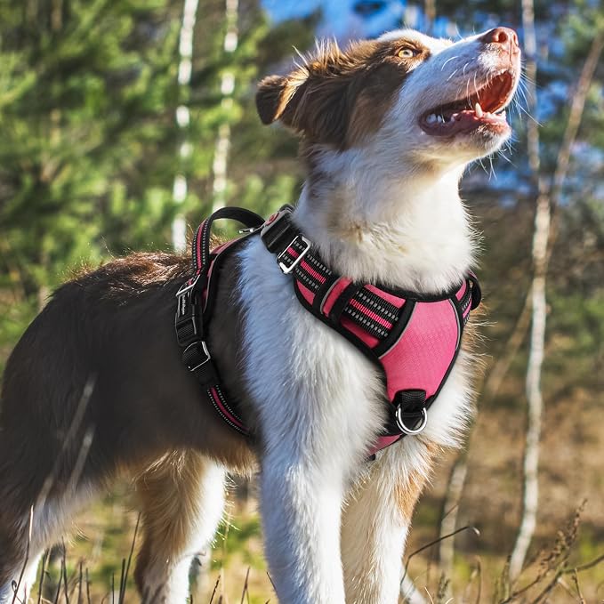 rabbitgoo Dog Harness Medium Sized, 3 Buckles Easy On & Off No Pull Pet Vest, Soft Padded Walking Pet Harness with Control Handle, Adjustable and Reflective, Pink, M