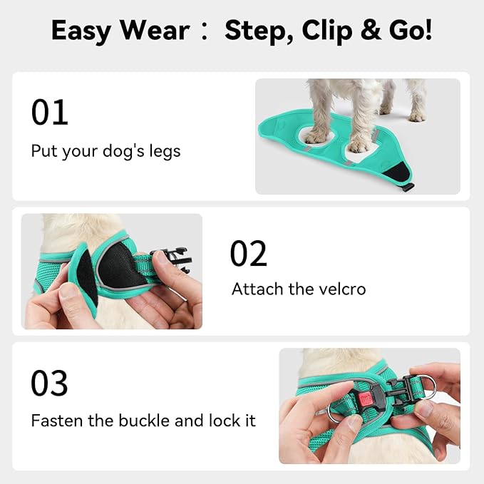 Joytale Small Dog Harness, Breathable Mesh Step-in Vest, Reflective Soft Padded Harnesses for Cats and Puppies Dogs, Teal, XXXS