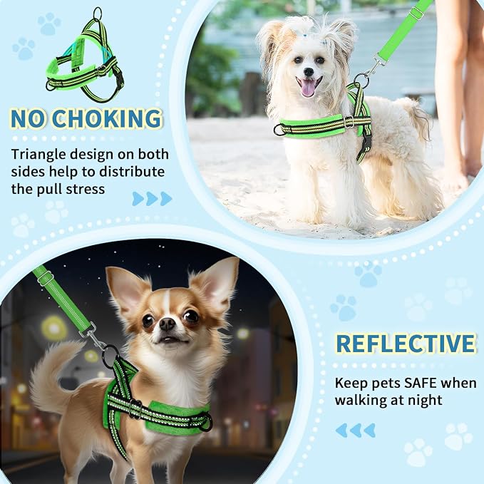 Lukovee No Pull Dog Harness and Leash Set, Soft Padded Small Dog Harness, Neck & Chest Adjustable Reflective Vest Puppy Harness with 4ft Lightweight Anti-Twist Dog Leash for Small Dogs (S, Green)