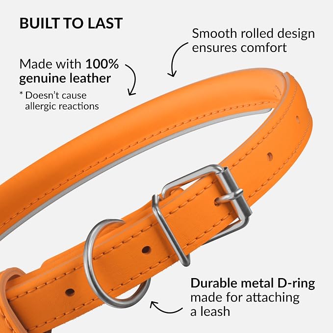 CollarDirect Reflective Rolled Leather Dog Collar, Soft Padded Round Puppy Collar, Handmade Genuine Leather Collar Dog Small Large Cat Collars 13 Colors (15-19 Inch, Orange Reflective)
