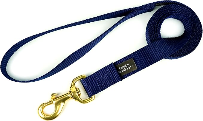 Country Brook Petz - Everyday Nylon Dog Leash - Strong, Durable, Solid Color Leash with Easy to Use Snap - 25+ Colors (1 Inch Wide, 4 Foot, Navy Blue)