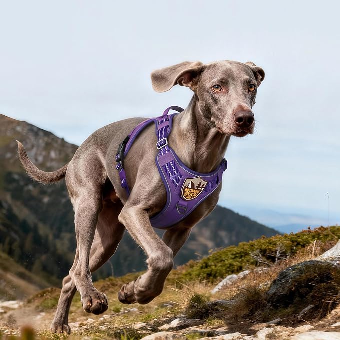 rabbitgoo Tactical Dog Harness for Large Dogs No Pull Adjustable Military Vest with Handle MOLLE Reflective Heavy Duty Dog Vest for Walking Training Hunting Outdoor Working Medium Size Dog Purple L