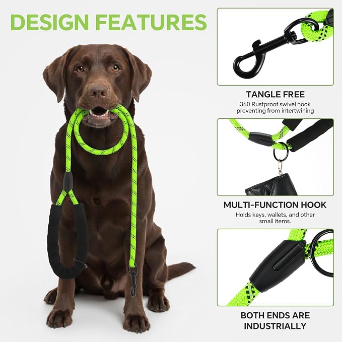 Heavy Duty Dog Leash - 4.9 FT for Large and Small Dogs - Strong Nylon, Comfortable Handle, Reflective Stitching - Ideal for Walking, Training, and Outdoor Activities, Green