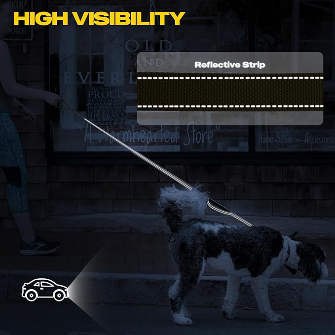 Fida 10ft Heavy Duty Dog Leash with 2 Comfortable Padded Handles, Traffic Handle & Advanced Easy Snap Hook, Reflective Walking Lead for Large, Medium & Small Breed Dogs, Brown