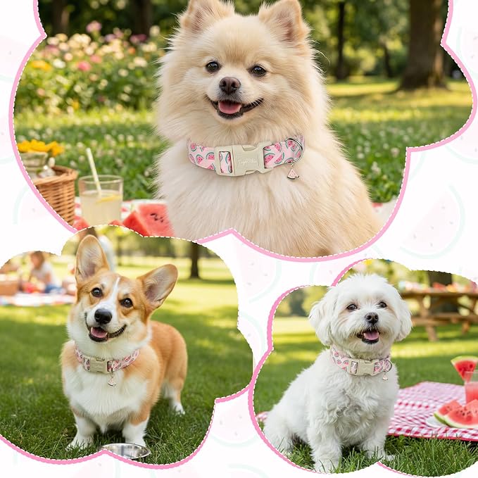Summer Dog Collar, Cute Pink Dog Collar with Watermelon Pattern, Cotton Adjustable Pet Collars for Small Medium Large Dogs, Gift for Boys Girls Dogs-S