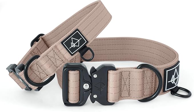 Made to ROAM Premium Dog Collar - Adjustable Heavy Duty Nylon Collar with Quick-Release Metal Buckle (Utah Glow, Classic Size 5)