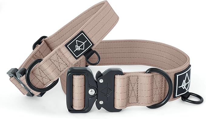Made to ROAM Premium Dog Collar - Adjustable Heavy Duty Nylon Collar with Quick-Release Metal Buckle (Utah Glow, Classic Size 1)