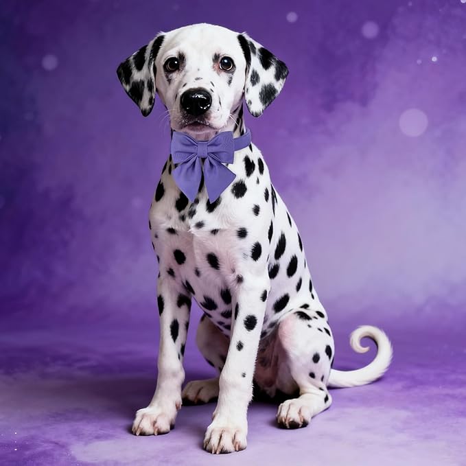 Maca Bates Purple Dog Collar with Cute Petunia Solid Sailor Bow Tie,Extra Small Girl Boy Dogs,Girly Adjustbale Durable Breakaway Soft Collars with Bowtie for Female Male Puppy,Pet with Metal Buckle