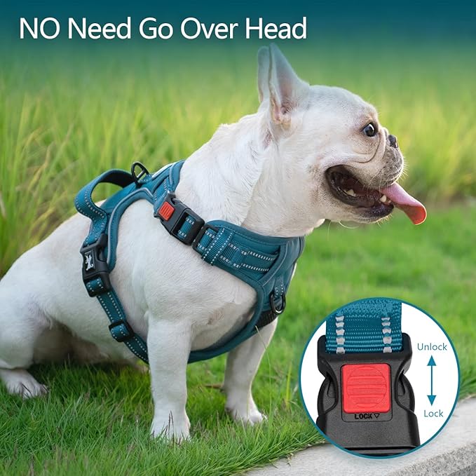 PoyPet No Pull Dog Harness, No Choke Reflective Dog Vest, Adjustable Pet Harnesses with Easy Control Padded Handle for Small Medium Large Dogs(Tumalo Teal,M)