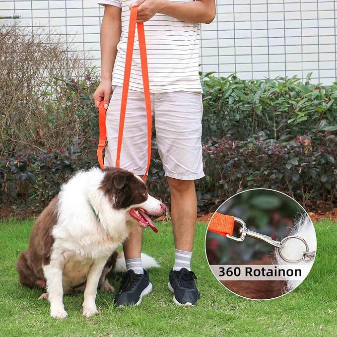AMAGOOD 6 FT Puppy/ Dog Leash, Strong and Durable Traditional Style Leash with Easy to Use Collar Hook, Great for Small, Medium and Large Dogs (1" x 6 ft, Black and Orange (2-Pack))