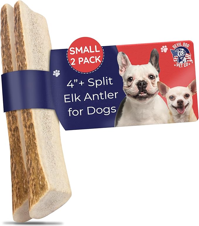 Devil Dog Pet Co. Split Elk Antlers for Dogs, Natural Dog Chew with Exposed Marrow - Long Lasting and Odor Free - USA Sourced - Cleaner Teeth, Anxiety & Boredom Relief - Small 4"+ 2 Pack
