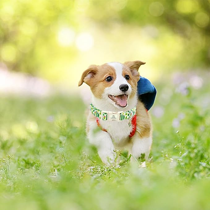 Lionheart glory Dog Collar Green Cactus Print Collar for Small Dogs Spring Summer Female or Male Collars Pets Gift Adjustable Heavy-Duty Cute Pet Collars