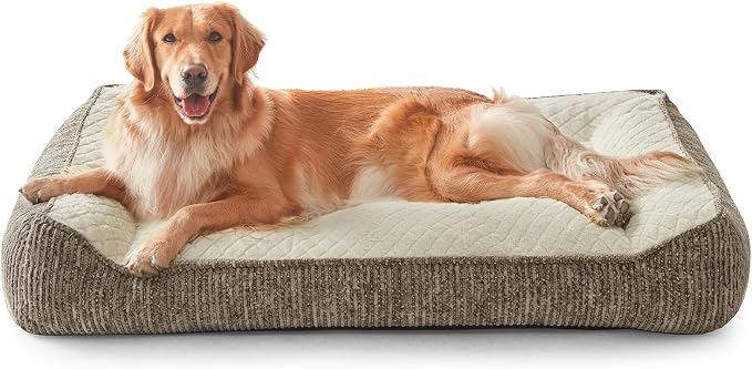 JOEJOY Extra Large Orthopedic Dog Beds Large Sized Dog, Extra Thick Supportive Big Dogs Bed with Sides, Ultra Soft Pet Bed Sofa, Beige, 48''x35''