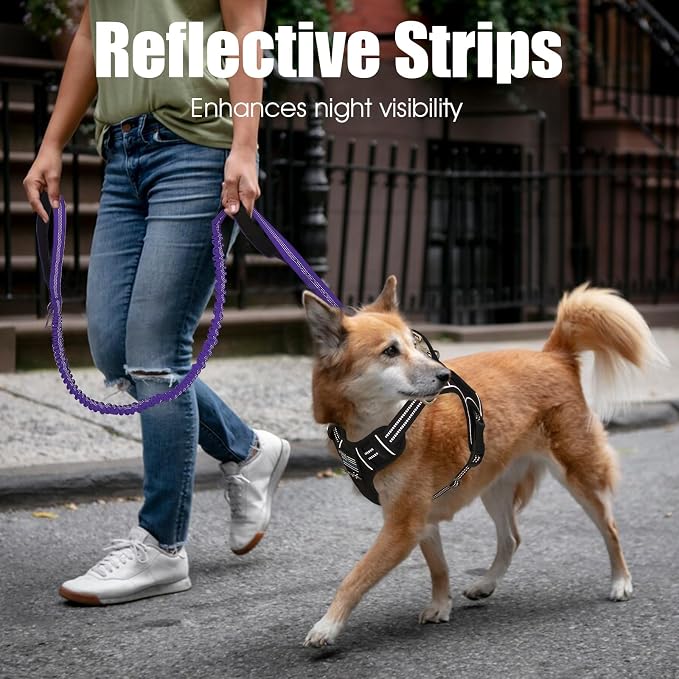 BUMBIN 6Ft Dog Leash - Large Dogs, Bungee Leash with 2 Handles, Heavy Duty, No Pull Shock Absorbing, Purple