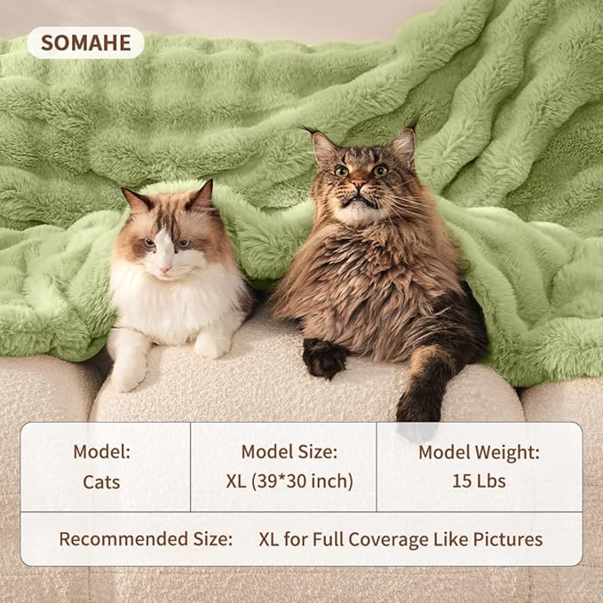 SOMAHE Cat Blanket, Reversible Sherpa & Bubble Fleece Pet Throw, Ultra-Soft Plush for Indoor Cats, Machine Washable, Anti-Static, Warm & Cozy, 22"×18" Inch Green