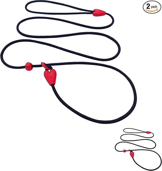 2 Pack Slip Leads for Dogs 6FT Slip Leash for Dogs Dog Lead Strong Nylon Dog Training Leash No Pull Rope Dog Leash Dog Leashes for Small Medium Dogs(Black+Black)