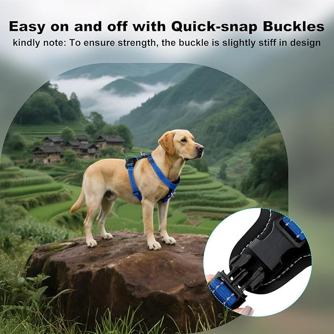 Plutus Pet Adjustable No Pull Dog Harness with Leather Accents, Heavy Duty Reflective Nylon Vest for Training, Hiking, Easy Walk Harness for Small, Medium, Large Dogs (Royal Blue, L)