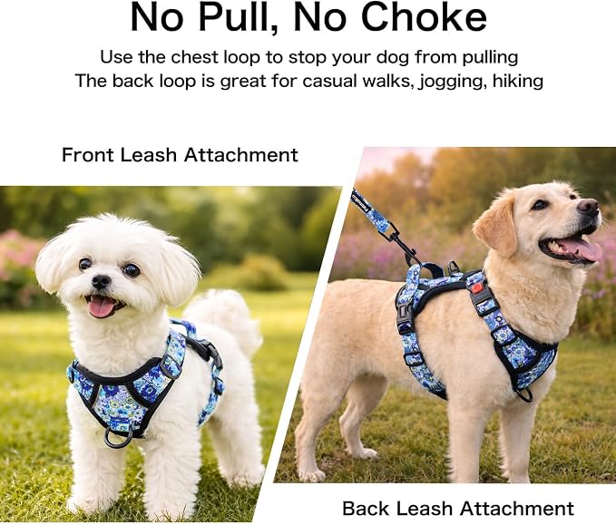 Petmolico No Pull Dog Harness Set with Leash Attachment Easy Control Handle Reflective Vest Small Breed, Puppy Vest and Leash Set with Poop Bag Holder, Small - Blue Daisy
