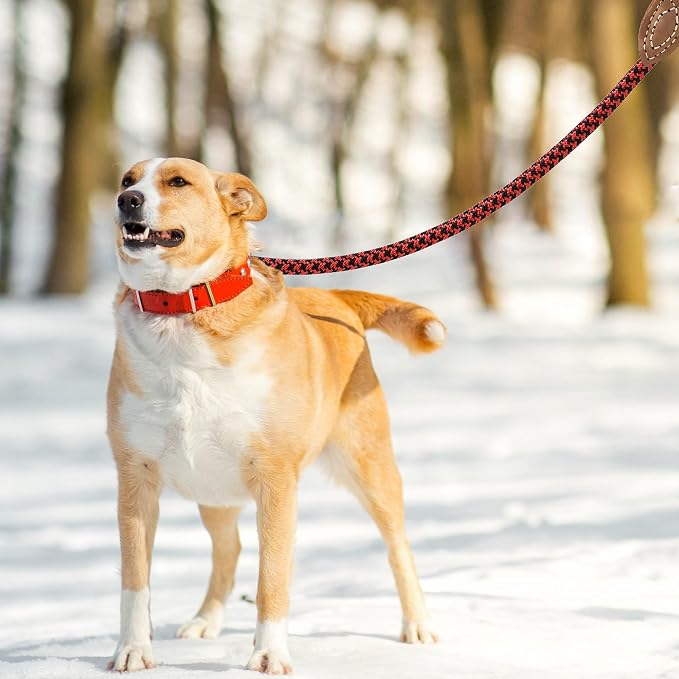 Mile High Life | Mountain Climbing Dog Rope Leash with Heavy Duty Metal Sturdy Clasp | Genuine Leather Tailored Connection with Strong Stitches (Red Black, 60 Inch (Pack of 1))