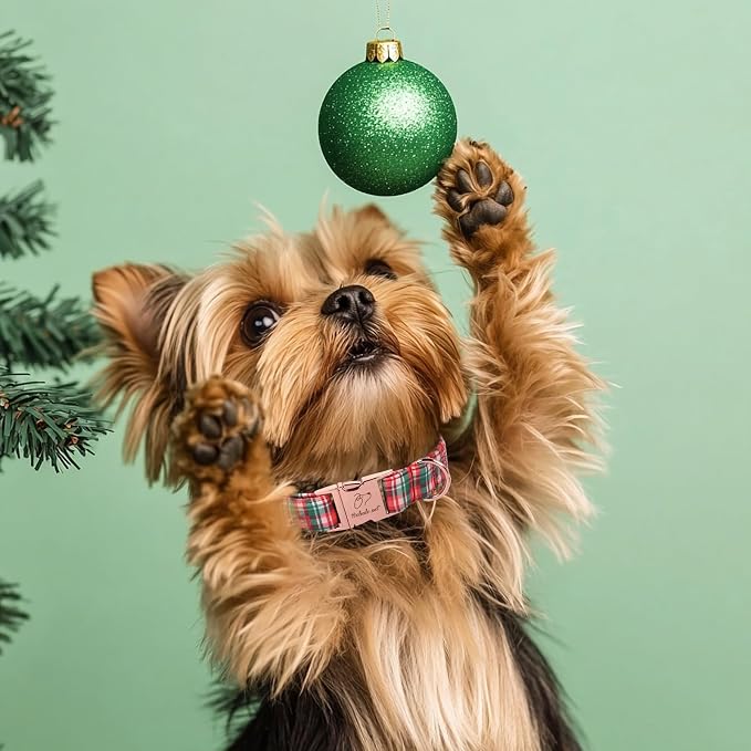 Christmas Plaid Dog Collar for Medium Dogs - Green & Rose Tartan Christmas Collars for Dogs, Sweet Festive Winter Heavy-Duty Adjustable Dog Collars with Metal Buckle M