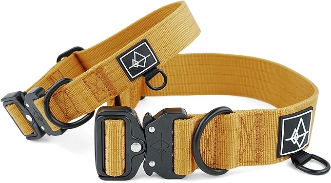 Made to ROAM Premium Dog Collar - Adjustable Heavy Duty Nylon Collar with Quick-Release Metal Buckle (Michigan Autumn, Classic Size 5)