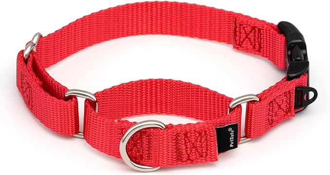 PetSafe Martingale Dog Collar with Quick-Snap Buckle - Small, 3/4 Inch, Red