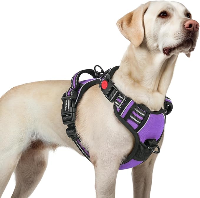 rabbitgoo Dog Harness for Large, No Pull Easy On & Off with 3 Buckles Pet Harness, Adjustable Soft Walking Vest with 2 Clips and Handle, Reflective for Large Dogs, Purple, L