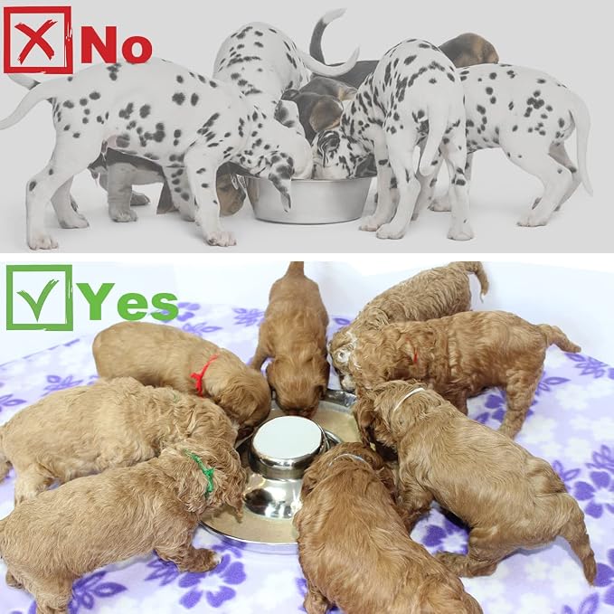 Stainless Steel Puppy Dog Bowls 2 Pack, Pets Puppies Feeding Food and Water Weaning Bowls Dishes Feeder, 13.4 Inch
