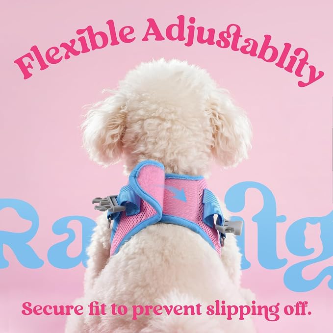 rabbitgoo Dog Harness Small Sized and Leash Set, Step-in Breathable Pet Harness, Soft Walking Reflective Puppy Vest for Small Dogs, Pink & Light Blue, L