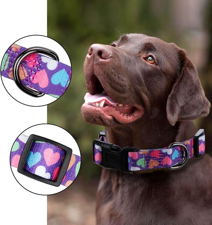 Girl Dog Collars Spring Cute Heart Pattern Lovely Print Purple for Medium Dogs