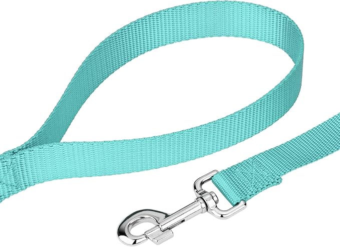 Country Brook Petz - Everyday Nylon Dog Leash - Strong, Durable, Solid Color Leash with Easy to Use Snap - 25+ Colors (1 Inch Wide, 4 Foot, Light Cyan)