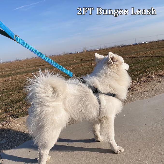 2FT Bungee Dog Leash, Highly Reflective Strong Nylon Traffic Leash, Shock Absorbing Short Pet Lead for Large Medium Dogs Walking Training Controlling, Blue